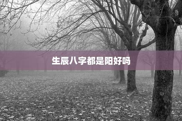 生辰八字都是阳好吗