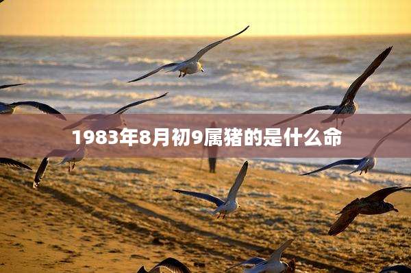 1983年8月初9属猪的是什么命