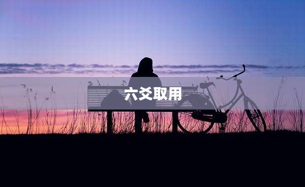 六爻取用