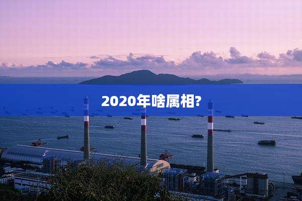 2020年啥属相?