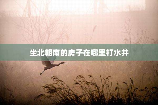 坐北朝南的房子在哪里打水井