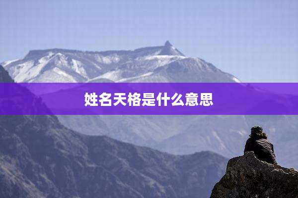 姓名天格是什么意思