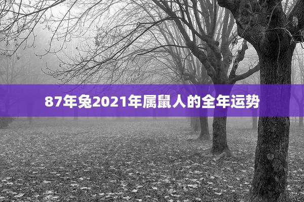 87年兔2021年属鼠人的全年运势
