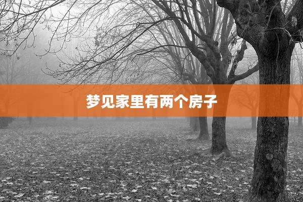 梦见家里有两个房子