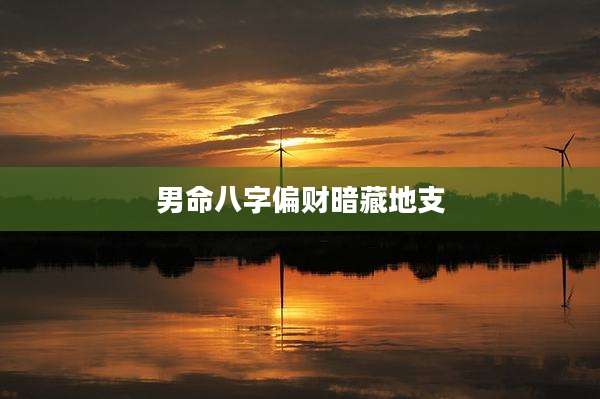 男命八字偏财暗藏地支