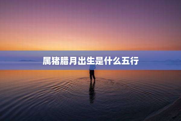 属猪腊月出生是什么五行