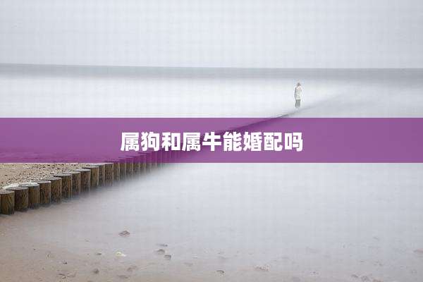 属狗和属牛能婚配吗