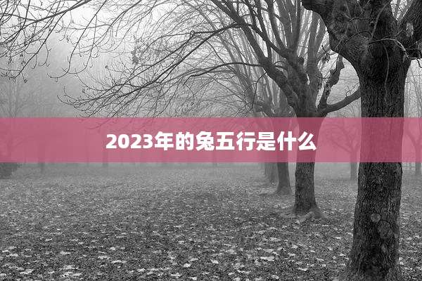 2023年的兔五行是什么