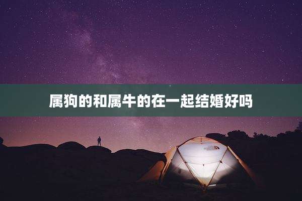 属狗的和属牛的在一起结婚好吗