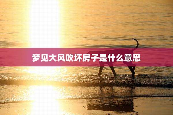 梦见大风吹坏房子是什么意思
