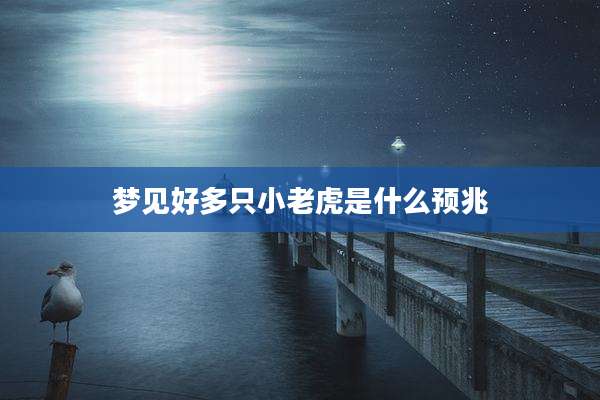 梦见好多只小老虎是什么预兆