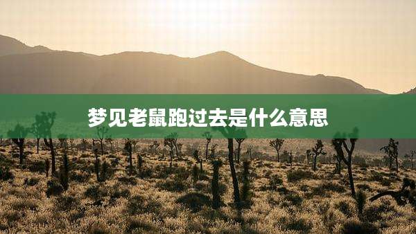 梦见老鼠跑过去是什么意思
