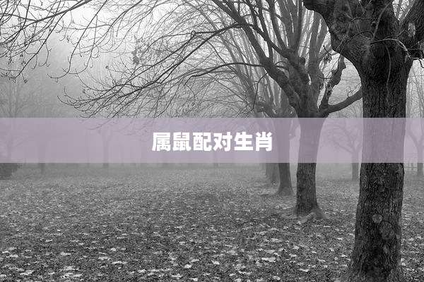 属鼠配对生肖