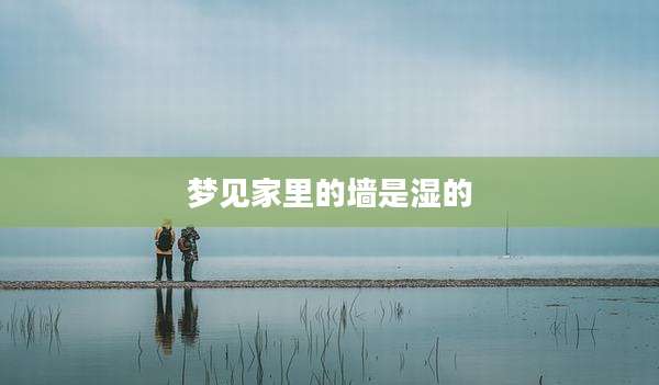 梦见家里的墙是湿的