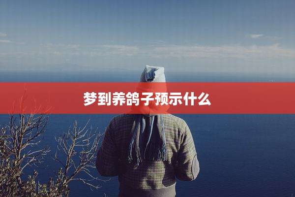 梦到养鸽子预示什么