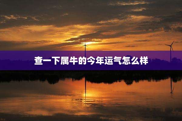 查一下属牛的今年运气怎么样