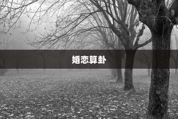 婚恋算卦