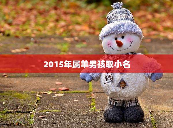 2015年属羊男孩取小名