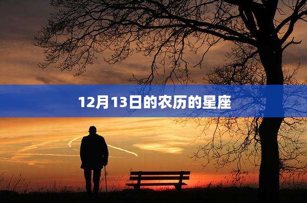 12月13日的农历的星座