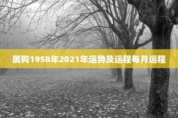 属狗1958年2021年运势及运程每月运程