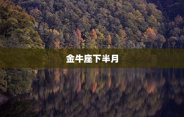 金牛座下半月