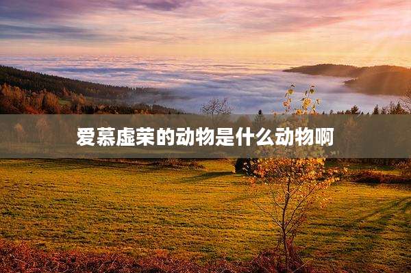 爱慕虚荣的动物是什么动物啊