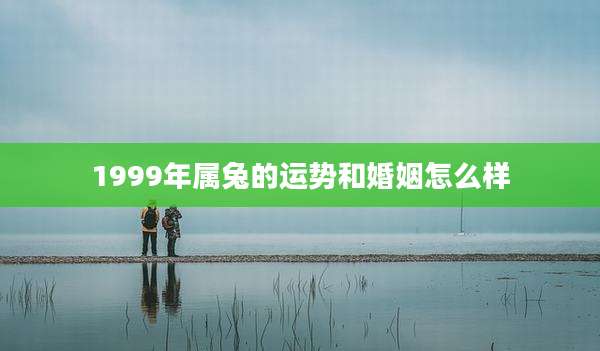 1999年属兔的运势和婚姻怎么样