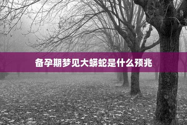 备孕期梦见大蟒蛇是什么预兆