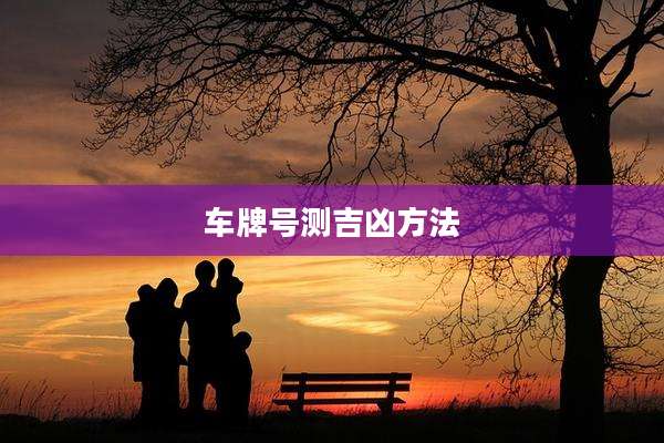 车牌号测吉凶方法