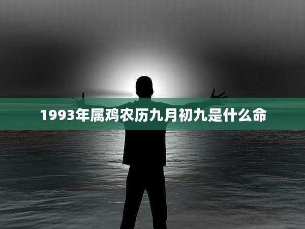 1993年属鸡农历九月初九是什么命