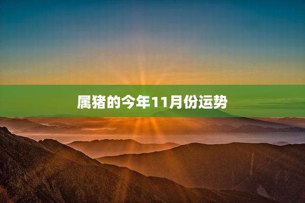 属猪的今年11月份运势