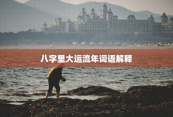 八字里大运流年词语解释