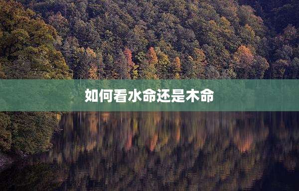 如何看水命还是木命