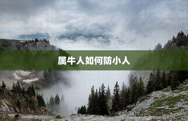 属牛人如何防小人