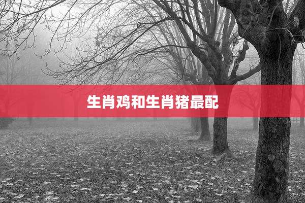 生肖鸡和生肖猪最配