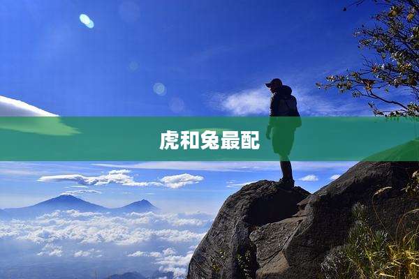 虎和兔最配