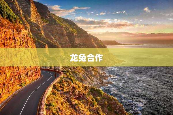 龙兔合作