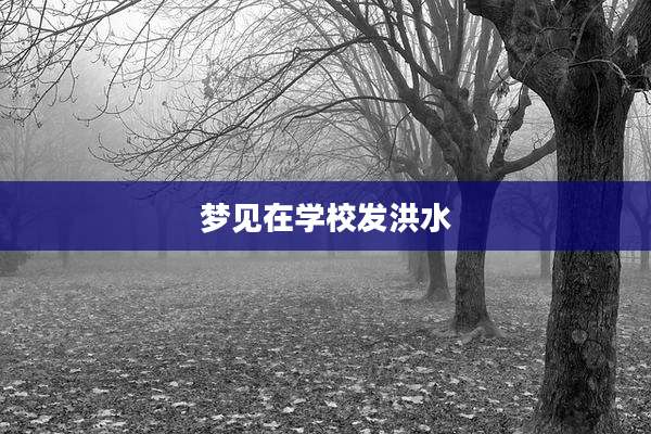 梦见在学校发洪水