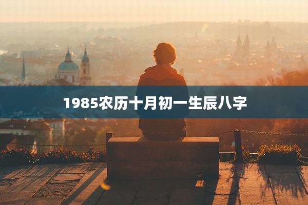 1985农历十月初一生辰八字
