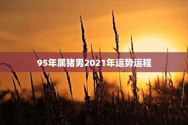 95年属猪男2021年运势运程
