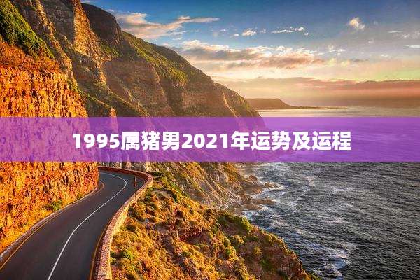1995属猪男2021年运势及运程