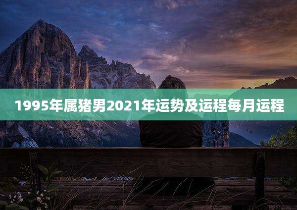 1995年属猪男2021年运势及运程每月运程