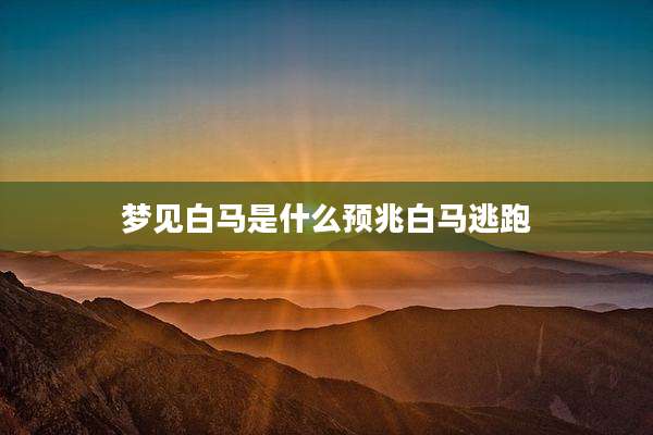 梦见白马是什么预兆白马逃跑