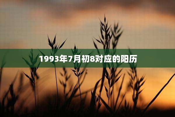 1993年7月初8对应的阳历