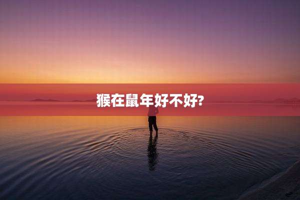 猴在鼠年好不好?