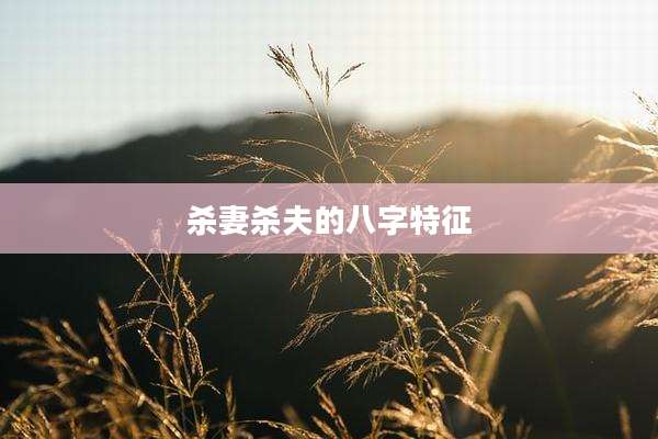 杀妻杀夫的八字特征