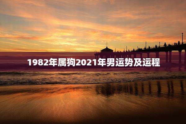 1982年属狗2021年男运势及运程