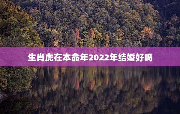 生肖虎在本命年2022年结婚好吗