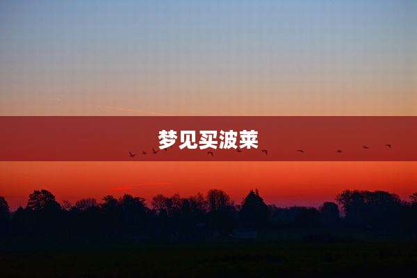 梦见买波莱