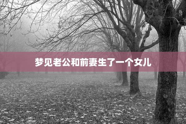 梦见老公和前妻生了一个女儿